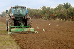 La Generalitat creará un registro de iniciativas de gestión en común para mejorar las estructuras productivas agrarias