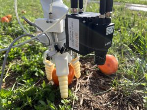 Agricultura destina 500.000 euros al fomento de la innovación tecnológica en fincas o explotaciones colaboradoras