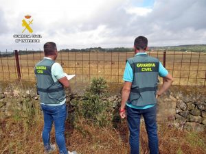 Cuatro detenidos por estafar a 26 ganaderos a los que compraban animales con pagarés sin fondos