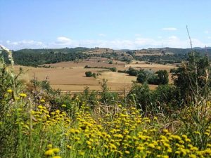 Los agricultores catalanes presentan 46.000 declaraciones agrarias con ayudas de la PAC 2024