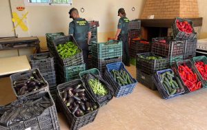 Recuperada más de una tonelada de verduras robadas en la comarca del Almanzora, con dos investigados