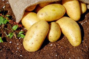 Asaja CyL denuncia el "alto coste económico" para agricultores y ganaderos la supresión del IVA de ciertos alimentos