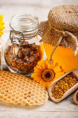 Gobierno Vasco destina 92.000 euros a mejorar la producción y la comercialización de productos de la apicultura