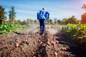 Este martes se abre el plazo de solicitudes a las ayudas de la Junta para las organizaciones profesionales agrarias