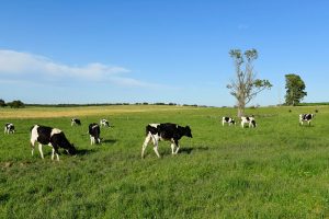 La mesa de seguimiento constata el buen grado de cumplimiento de las medidas de apoyo a agricultores y ganaderos comprometidas por el Gobierno