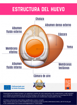 Sumergir el huevo en agua no es una prueba fiable para conocer su frescura