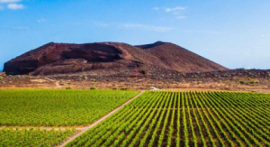 El Gobierno de Canarias destinará 13,4 millones de euros a diez desaladoras para aumentar el agua de riego agrícola