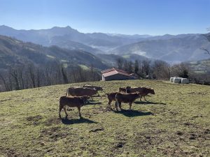 El sector agrario recibe casi 88 millones en ayudas de la campaña 2023 de la PAC