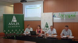 Asaja calcula una caída del 22% del valor de la producción hortofrutícola pese a crecer un 14% en esta campaña