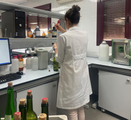 Iriaf profundiza en el conocimiento de tres variedades de uva tinta y su adaptación al cambio climático