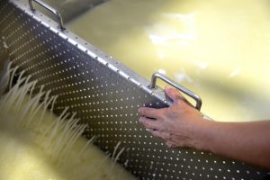 Esneki Zentroa se ubicará en Markina para promover la modernización y la sostenibilidad del sector lácteo en Euskadi