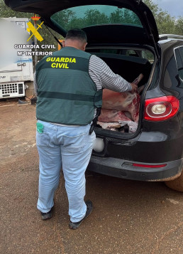 La Guardia Civil desmantela un grupo delictivo dedicado a la sustracción de ganado en el Campo de Cartagena