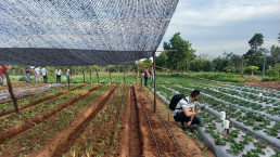 La Universidad Loyola logra financiar tres proyectos para mejorar la productividad y sostenibilidad agraria