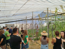 El Ifapa imparte en La Mojonera una jornada de biosolarización para la mejora de suelos en cultivos hortícolas