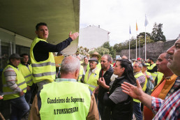 Productores de Ternera Gallega inician una huelga de entrega a mataderos de terneros por los bajos precios