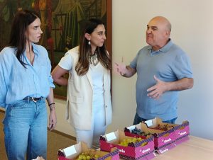 La Región produce más del 90% de la uva de mesa sin semilla cultivada en España