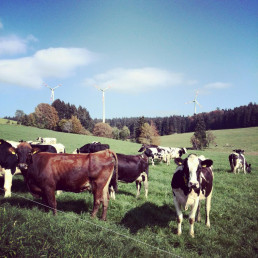 La Rioja convoca una línea de ayudas a las explotaciones ganaderas afectadas por la Enfermedad Hemorrágica Epizoótica
