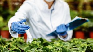 Los laboratorios agroalimentarios del Ministerio de Agricultura, Pesca y Alimentación demuestran su eficacia en el control analítico del sector agroalimentario