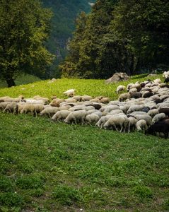 Organizaciones agrarias de Guadalajara recibirán este año 47.000 euros de la Diputación para formación