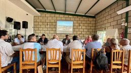 El Gobierno canario trabaja en una ayuda por la sequía que incluirá al olivar