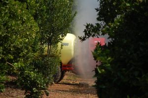 Agricultura retirará gratuitamente los productos fitosanitarios prohibidos, caducados o fuera de uso