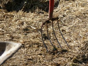 Los solicitantes de ayudas de la PAC en Baleares caen un 28% en diez años y mantiene la misma superficie de explotación