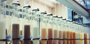 El Laboratorio Agroambiental aragonés será Laboratorio Nacional de Referencia en Análisis de Fertilidad de Suelos