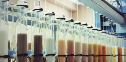 El Laboratorio Agroambiental aragonés será Laboratorio Nacional de Referencia en Análisis de Fertilidad de Suelos