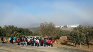 La Diputación impulsa Huerto Ramírez como espacio de innovación para el sector forestal y la población rural