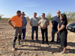 Ayudas a explotaciones ganaderas y agrícolas incentivan la creación de empresas y consolidan las creadas, según Junta