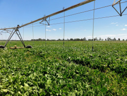 Gobierno La Rioja da 115 ayudas por más de 3,8 millones para modernización y mejora de explotaciones agrarias en 2024