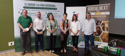 Serida presenta 2 nuevas variedades de 'faba granja' mejoradas genéticamente para resistir enfermedades comunes