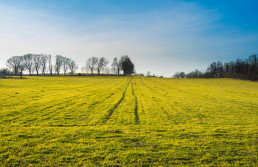 Agricultura ampliará la dotación para contratación de seguros agrarios para alcanzar los 15 millones anuales en 2026