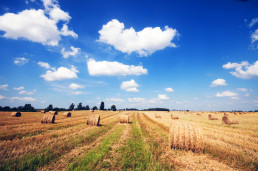 Agricultura incrementará de 70.000 a 100.000 euros el límite máximo de la ayuda a la instalación de jóvenes