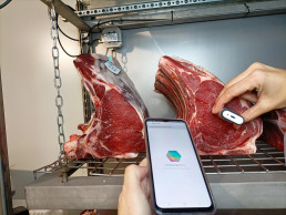 Información y formación para una carne madurada segura y de calidad