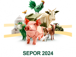SEPOR 2024
