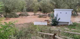 El Gobierno de Aragón expresa su 