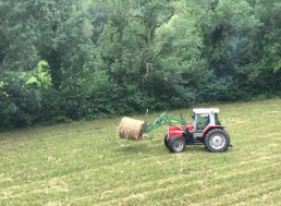 Agricultura abonará la totalidad de las ayudas agroambientales a la agricultura ecológica de la PAC de 2023
