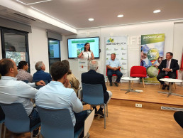 La Región de Murcia lidera la exportación de lechuga con el 65 por ciento del total nacional