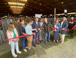 El Principado aprueba ayudas directas por más de un millón para 506 ganaderías afectadas por la EHE