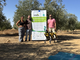 Un equipo de la UCO prueba un robot cuadrúpedo para monitorizar los cultivos