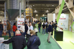 Los expertos del porcino señalan en SEPOR el ‘Fitness’ como una opción para mejorar la calidad de la carne