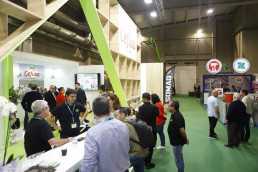 La saliva como herramienta para abaratar los costes de las producciones de porcino, tema estrella en SEPOR 2024