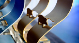 Tres granjas castellanoleonesas integradas en Agrocesa, galardonadas con un oro y dos platas en los premios Porc d'Or