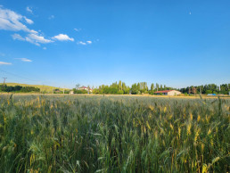 El Ministerio de Agricultura, Pesca y Alimentación amplía el catálogo del plan de formación para técnicos del medio rural