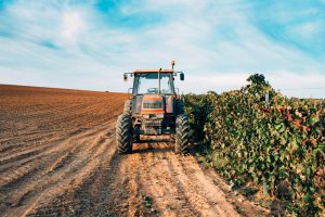 Luis Planas anuncia que el próximo 3 de marzo comenzará la consulta previa a la elaboración de la Ley de Agricultura Familiar