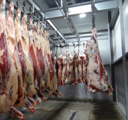 Amacyl alerta de pérdidas millonarias en mataderos de CyL con la reducción del horario de trabajo de los veterinarios