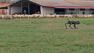 Investigadores de la ULE avanzan en el diseño de un 'perro robot' autónomo para el pastoreo de ganado