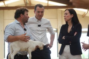 El Govern activa un plan con 33 medidas para potenciar la ganadería extensiva en Catalunya