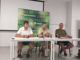 Unió de Pagesos alerta de la tendencia a la baja del sector porcino hasta junio